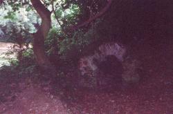 St. Anne's Well
